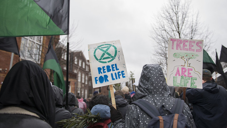 Een groep demonstranten in regenjassen, gezien van achteren, met twee zichtbare protestborden waarvan Ã©Ã©n met de tekst 'Rebel for Life' en het Extinction Rebellion logo en de andere met de tekst 'Trees are life'.